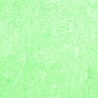 Ахгли Компанија Внатрешен Правоаголник Цврсти Зелени Модерни Килими, 5'8'