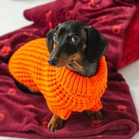 Облека за џемпери за кучиња за пит -извидници за мали средни миленичиња со големи кучиња, портокалова, XS