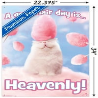 Аванти-Памук Бонбони Мачка Ѕид Постер со Притисни Иглички, 22.375 34