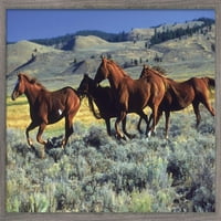 Животни-Коњи Кои Трчаат По Авионите Ѕид Постер, 14.725 22.375