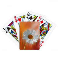 Портокалова Темно Бела Убава Цвеќе Покер Играње Магија Картичка Забава Игра На Табла